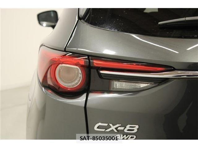 Mazda CX-8 2018-01 6904039-19