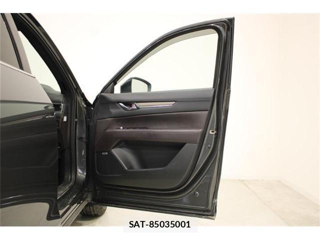 Mazda CX-8 2018-01 6904039-29