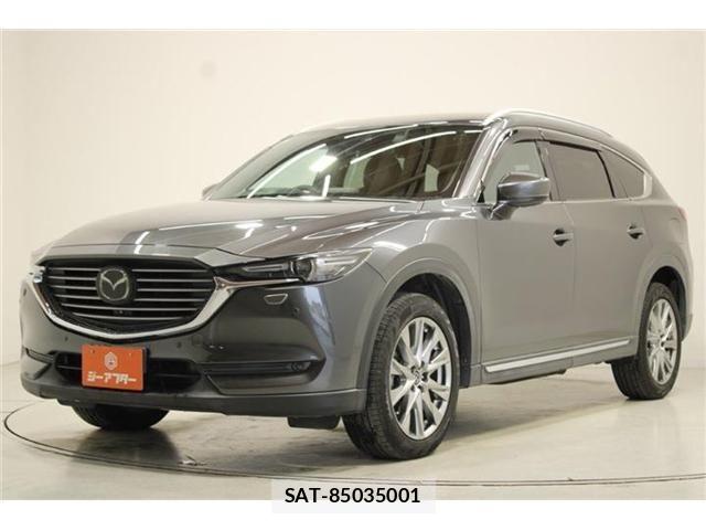 Mazda CX-8 2018-01 6904039-8