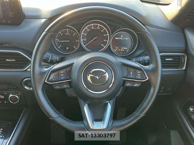 Mazda CX-8 2018-03 6904038-13