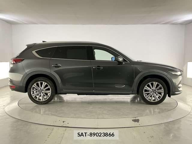 Mazda CX-8 2021-03 6992995-6