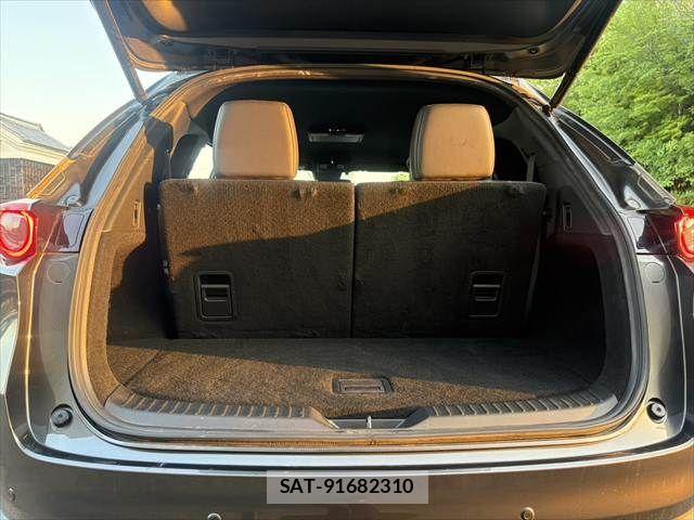 Mazda CX-8 2018-02 6992999-13