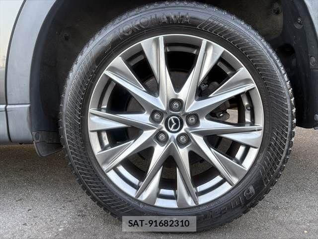 Mazda CX-8 2018-02 6992999-17
