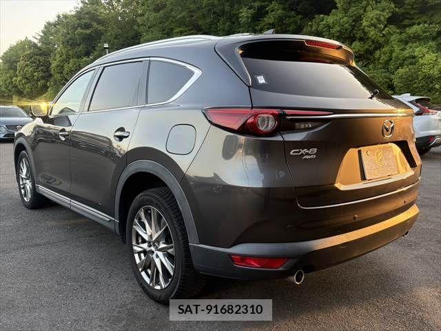 Mazda CX-8 2018-02 6992999-23
