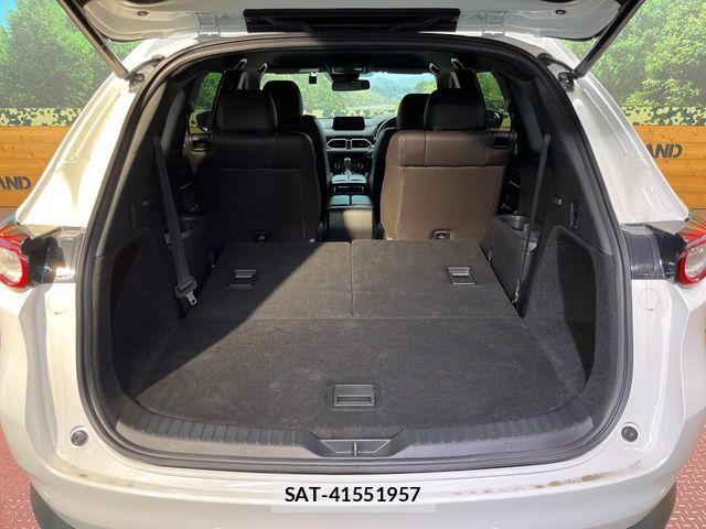 Mazda CX-8 2018-03 7020314-10