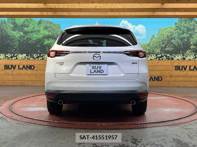 Mazda CX-8 2018-03 7020314-15