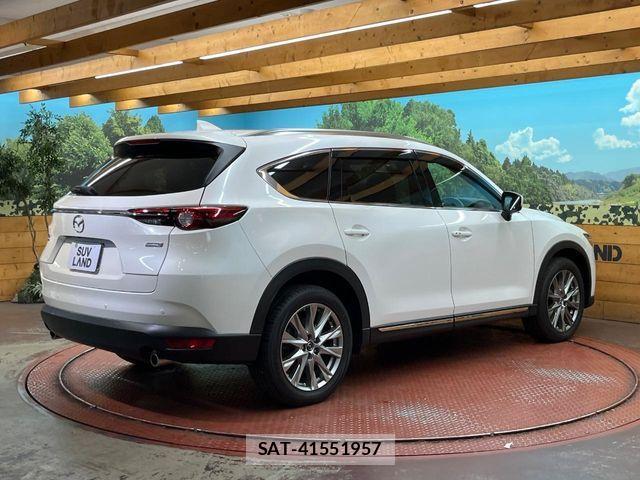 Mazda CX-8 2018-03 7020314-16