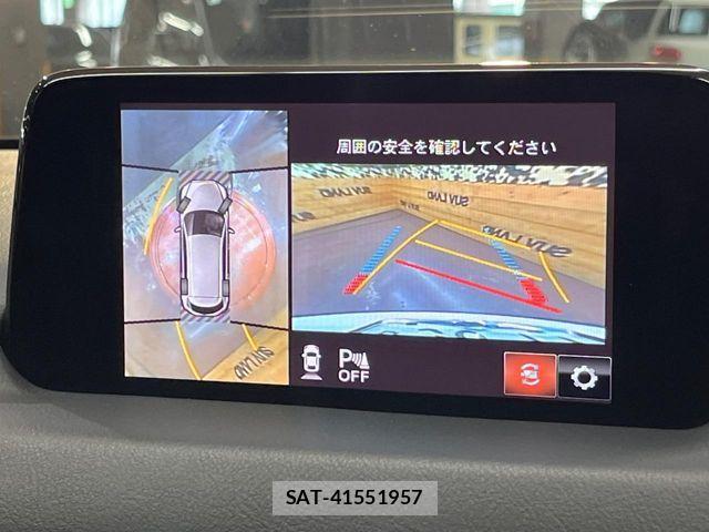 Mazda CX-8 2018-03 7020314-3