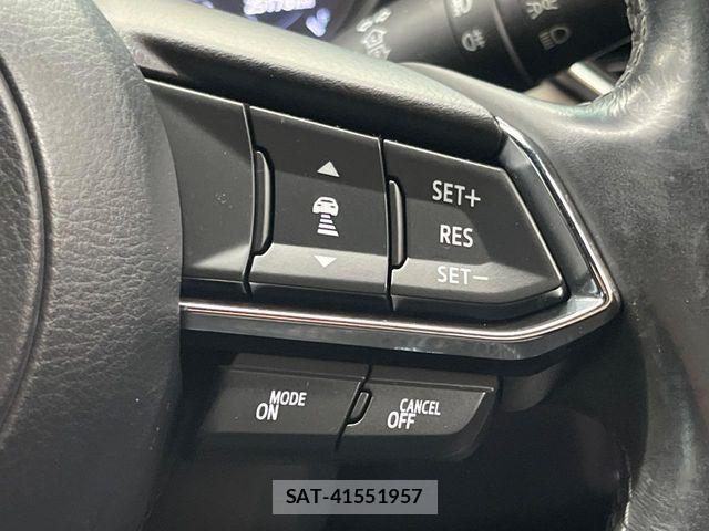 Mazda CX-8 2018-03 7020314-4