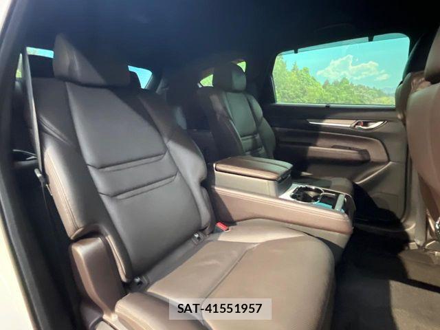 Mazda CX-8 2018-03 7020314-8