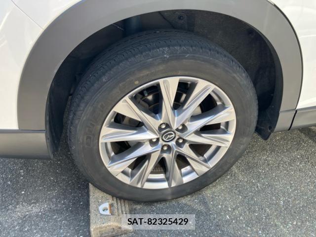 Mazda CX-8 2018-11 7058177-7