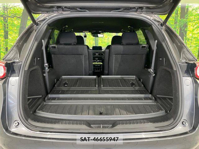 Mazda CX-8 2018-01 7217113-11