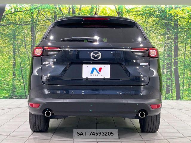 Mazda CX-8 2019-06 7217123-14