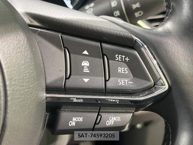 Mazda CX-8 2019-06 7217123-6