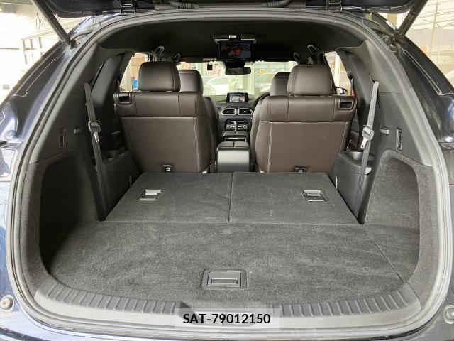 Mazda CX-8 2018-06 7217116-20