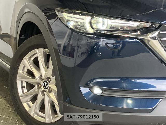 Mazda CX-8 2018-06 7217116-4