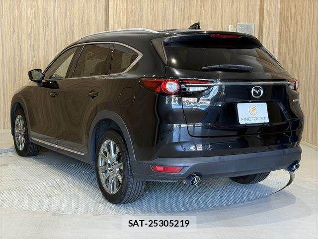 Mazda CX-8 2020-07 7217124-20