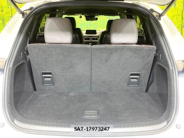 Mazda CX-8 2019-03 7217119-10