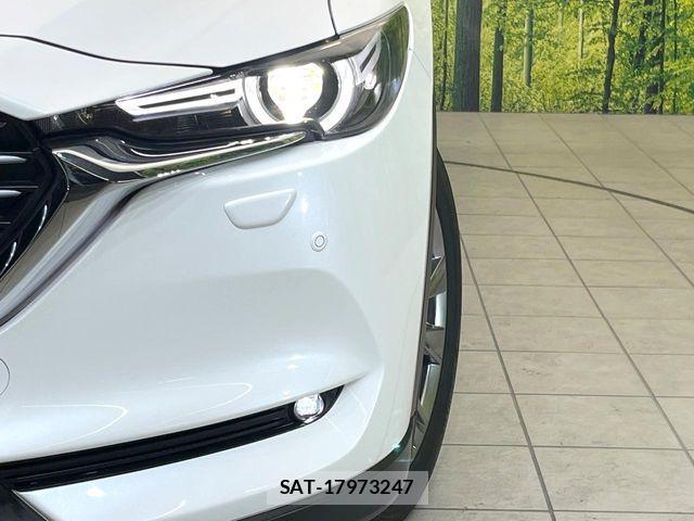 Mazda CX-8 2019-03 7217119-12