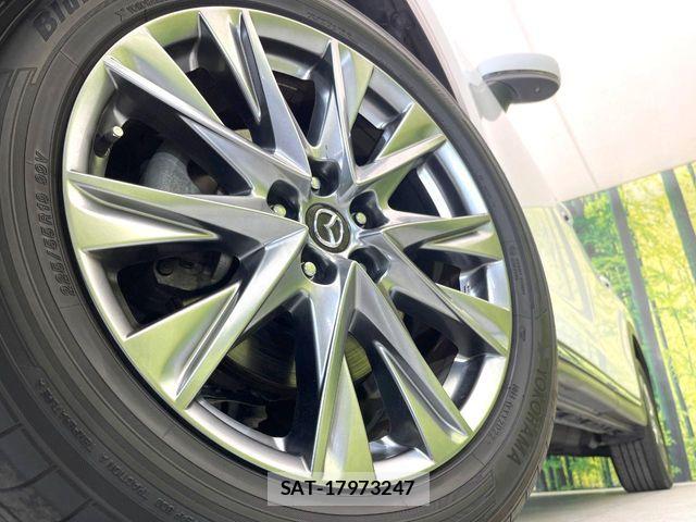 Mazda CX-8 2019-03 7217119-13