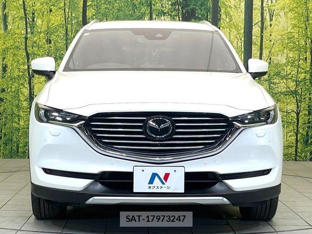 Mazda CX-8 2019-03 7217119-14