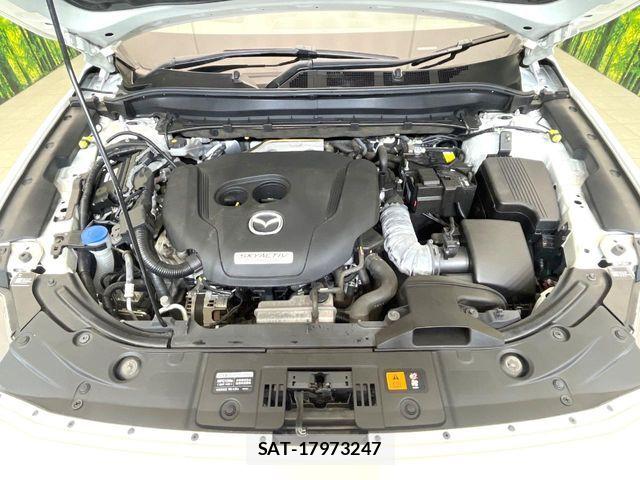 Mazda CX-8 2019-03 7217119-18
