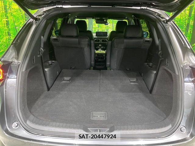 Mazda CX-8 2021-03 7217129-10