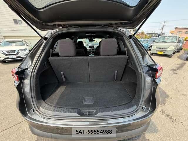 Mazda CX-8 2018-03 7250424-25
