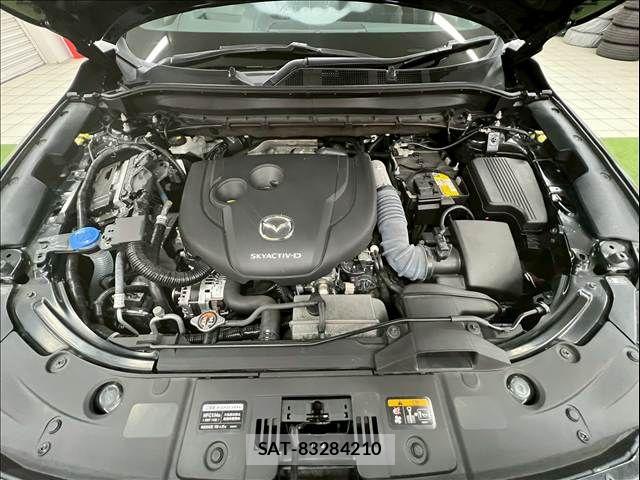 Mazda CX-8 2022-01 7250418-13