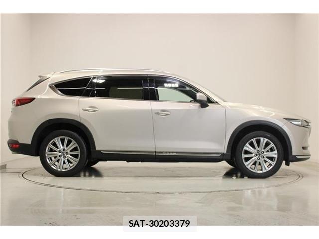 Mazda CX-8 2021-05 7250423-12