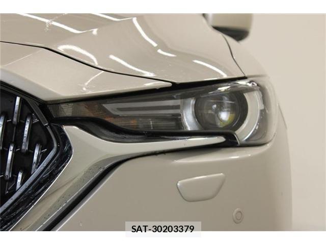 Mazda CX-8 2021-05 7250423-14