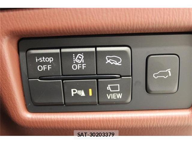 Mazda CX-8 2021-05 7250423-3
