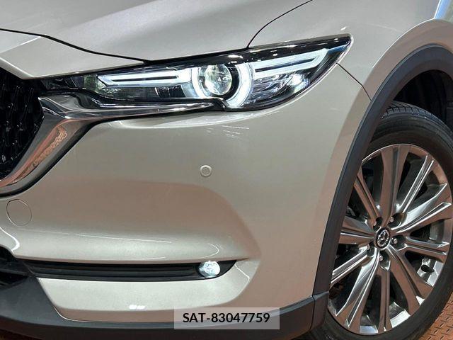 Mazda CX-8 2021-05 7326572-11