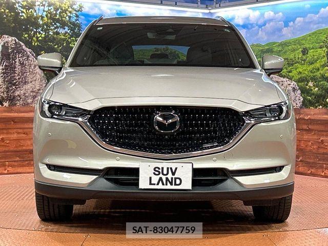 Mazda CX-8 2021-05 7326572-13