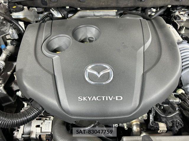 Mazda CX-8 2021-05 7326572-17
