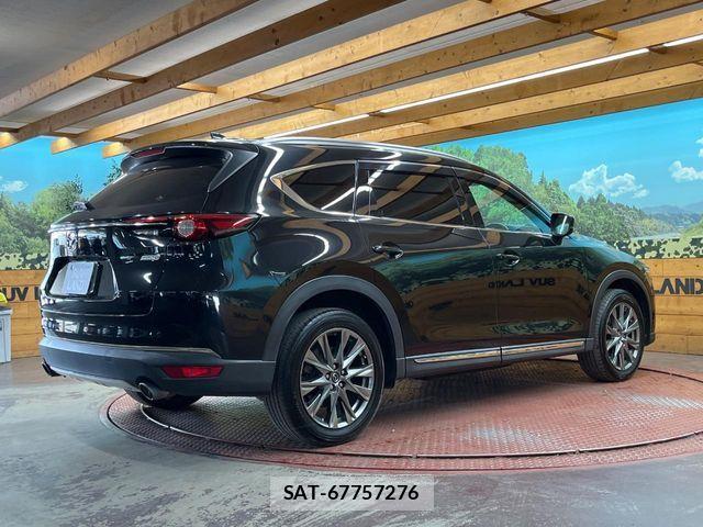 Mazda CX-8 2018-07 7357467-16
