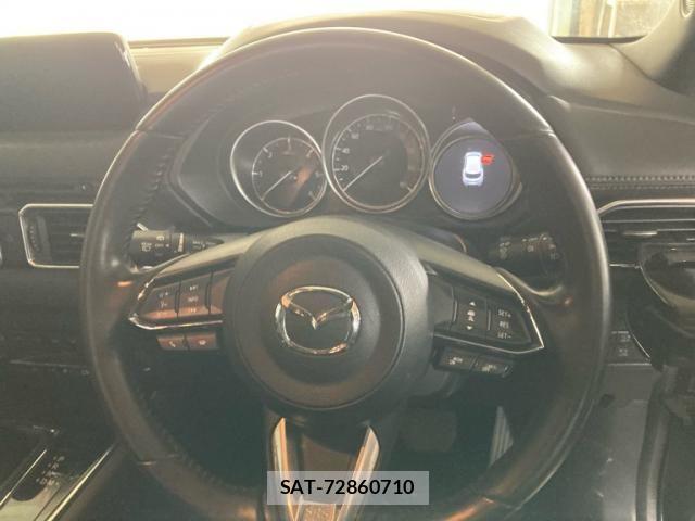 Mazda CX-8 2019-12 7391829-10