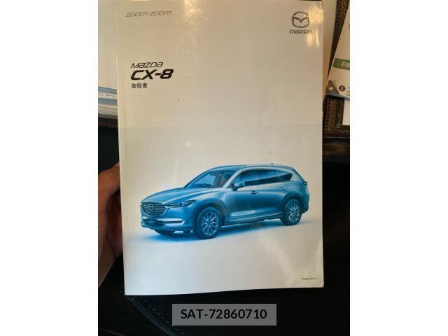 Mazda CX-8 2019-12 7391829-22