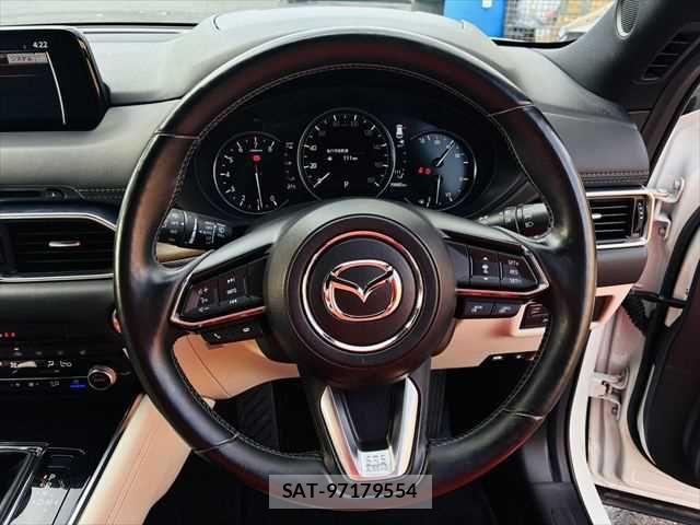 Mazda CX-8 2018-12 7453842-12