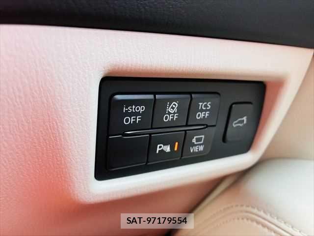 Mazda CX-8 2018-12 7453842-7