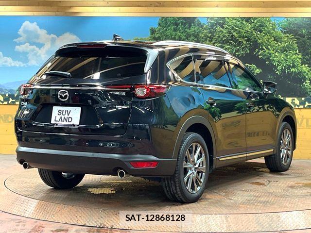 Mazda CX-8 2021-05 7500177-16