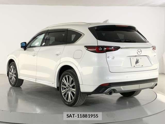 Mazda CX-8 2023-04 7562019-3