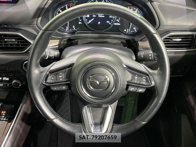 Mazda CX-8 2020-01 7616051-11