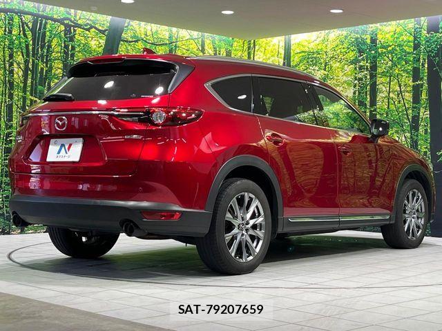 Mazda CX-8 2020-01 7616051-17