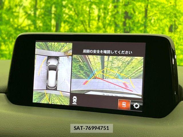 Mazda CX-8 2018-11 7616053-3