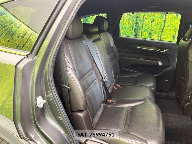 Mazda CX-8 2018-11 7616053-7