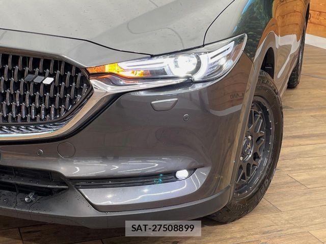 Mazda CX-8 2018-01 7616057-13
