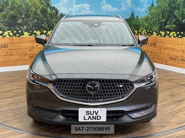 Mazda CX-8 2018-01 7616057-15