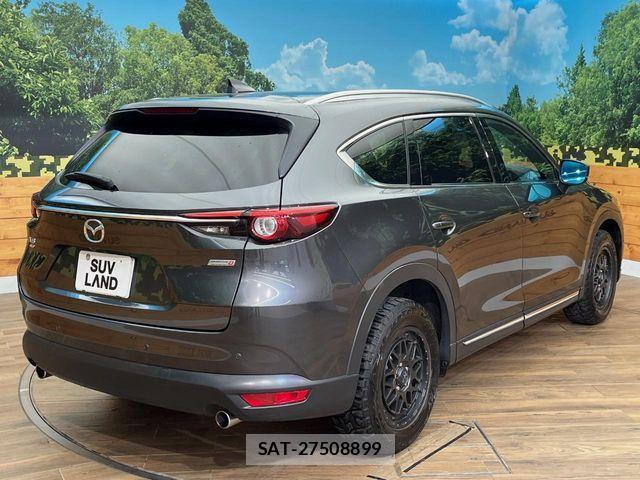 Mazda CX-8 2018-01 7616057-18