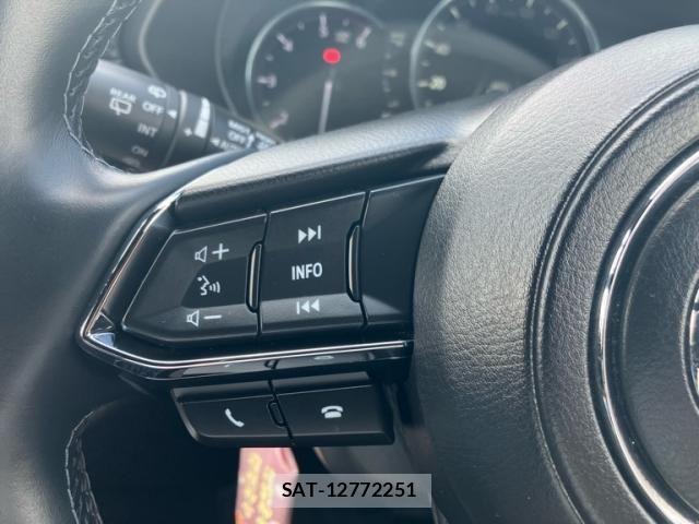 Mazda CX-8 2020-01 7616055-20